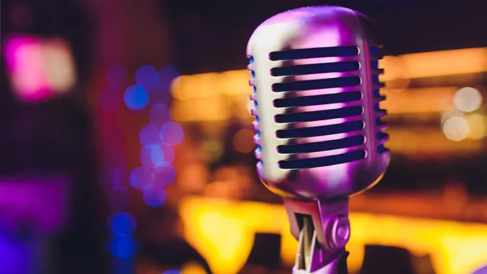 Music Onhold Professional Voice Over